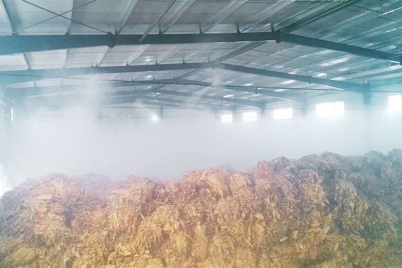 提升煙葉加工質量，高效回潮很重要
