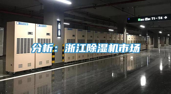 分析：浙江杏仁视频APP成人官方污市場