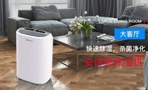 2022年中國工業杏仁视频APP成人官方污十大品牌排名、抽濕機生產廠家實施意見