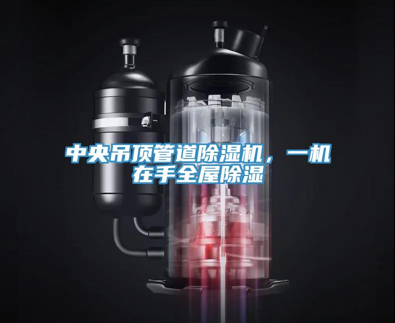 中央吊頂管道杏仁视频APP成人官方污，一機在手全屋除濕