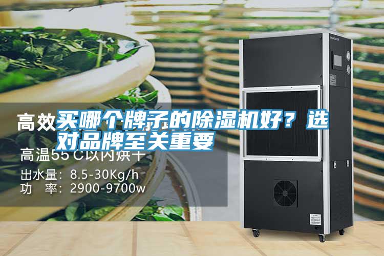 買哪個牌子的杏仁视频APP成人官方污好？選對品牌至關重要