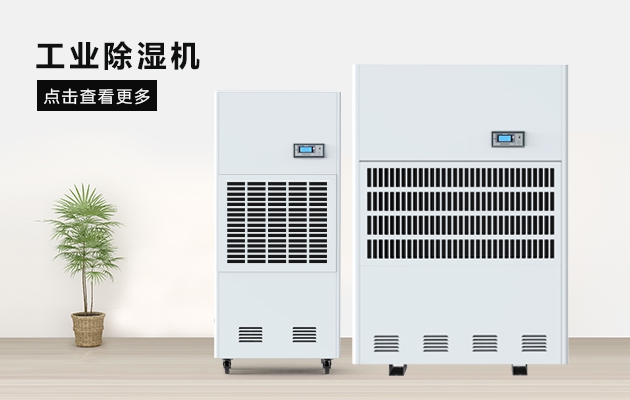 三八節送媽媽的禮物，選這款杏仁直播软件下载除濕器就對了