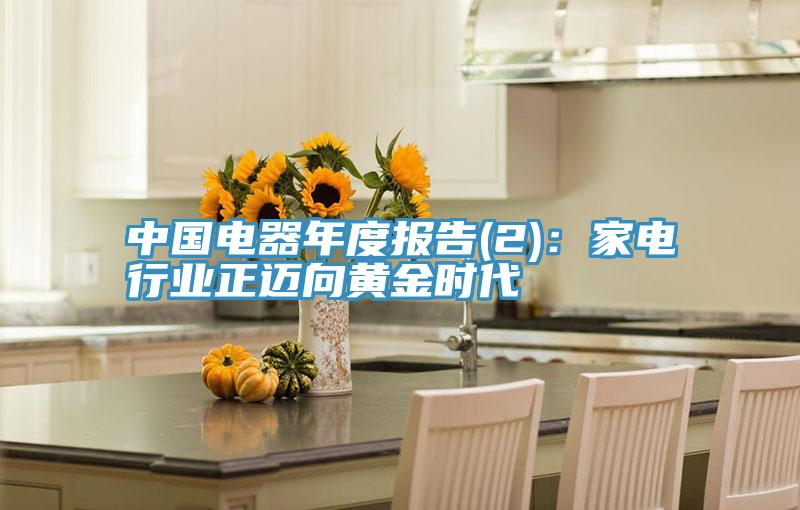 中國電器年度報告(2)：家電行業正邁向黃金時代