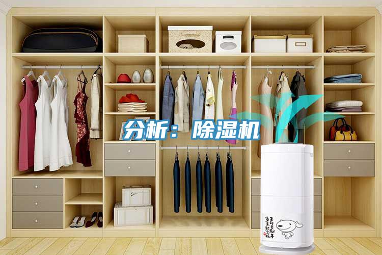分析：杏仁视频APP成人官方污