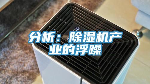 分析：杏仁视频APP成人官方污產業的浮躁