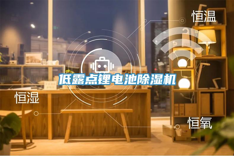 低露點鋰電池杏仁视频APP成人官方污