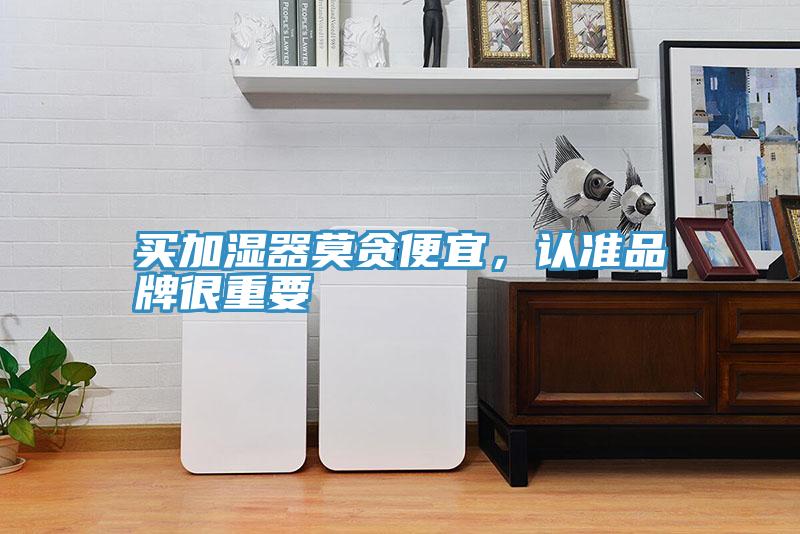 買加濕器莫貪便宜，認準品牌很重要