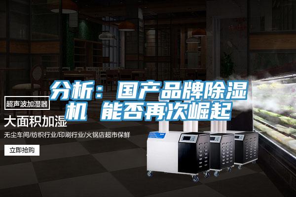 分析：國產品牌杏仁视频APP成人官方污 能否再次崛起