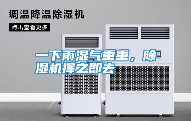 一下雨濕氣重重，杏仁视频APP成人官方污揮之即去