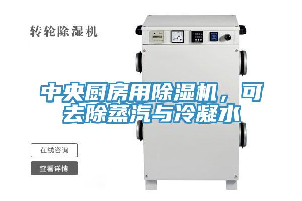 中央廚房用杏仁视频APP成人官方污，可去除蒸汽與冷凝水