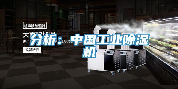 分析：中國工業杏仁视频APP成人官方污