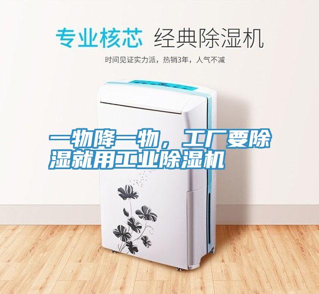 一物降一物，工廠要除濕就用工業杏仁视频APP成人官方污