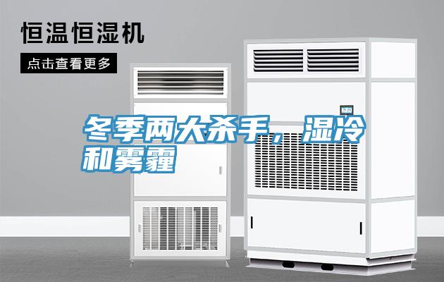 冬季兩大殺手，濕冷和霧霾