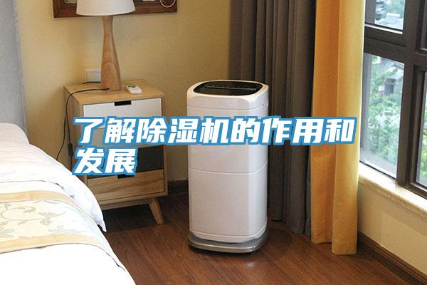了解杏仁视频APP成人官方污的作用和發展