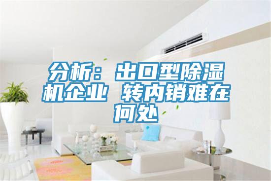 分析：出口型杏仁视频APP成人官方污企業 轉內銷難在何處