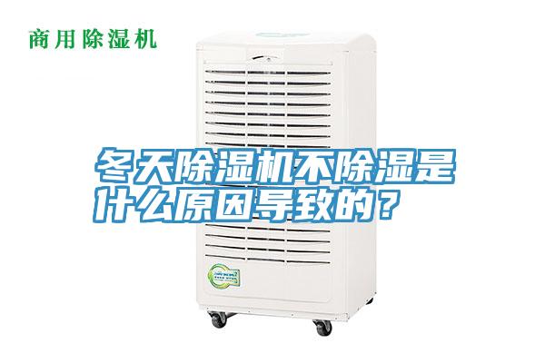 冬天杏仁视频APP成人官方污不除濕是什麽原因導致的？
