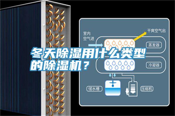 冬天除濕用什麽類型的杏仁视频APP成人官方污？