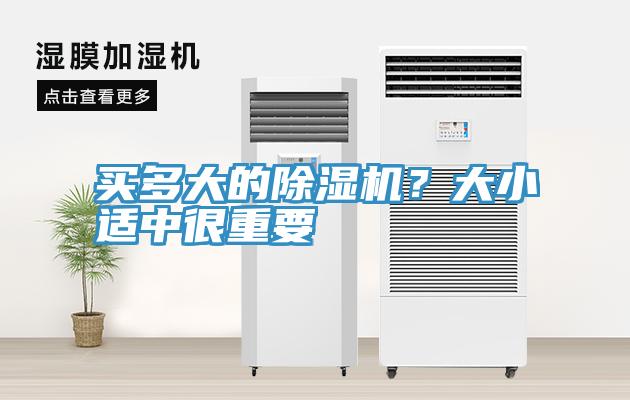 買多大的杏仁视频APP成人官方污？大小適中很重要