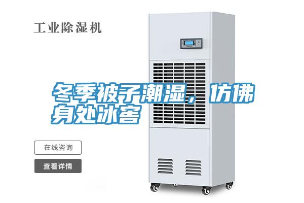 冬季被子潮濕，仿佛身處冰窖