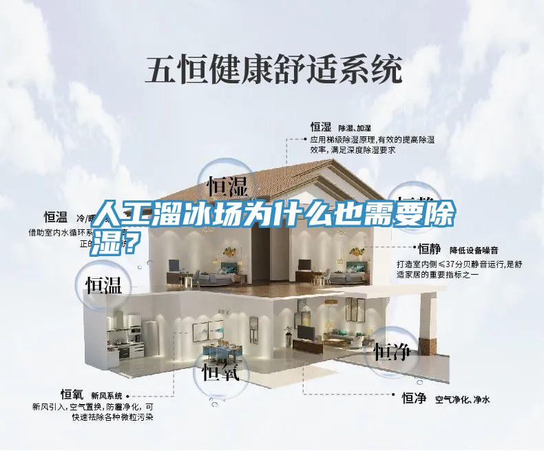 人工溜冰場為什麽也需要除濕？