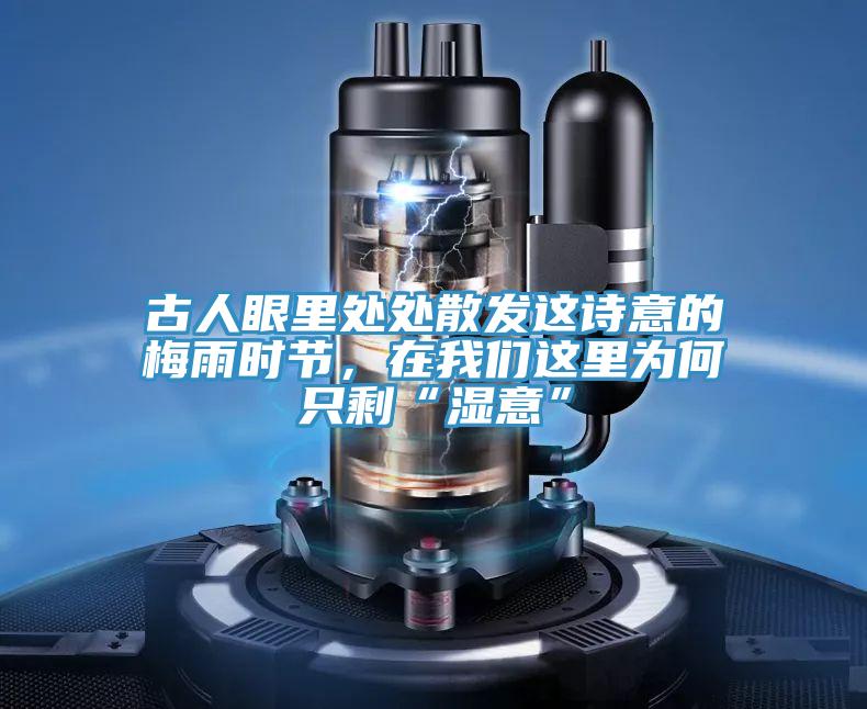 古人眼裏處處散發這詩意的梅雨時節，在杏仁直播软件下载這裏為何隻剩“濕意”