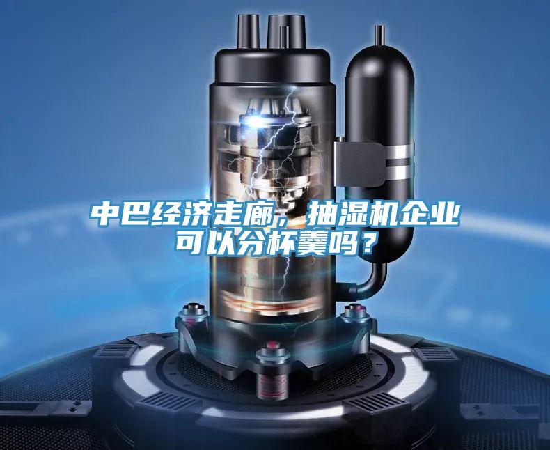 中巴經濟走廊，抽濕機企業可以分杯羹嗎？