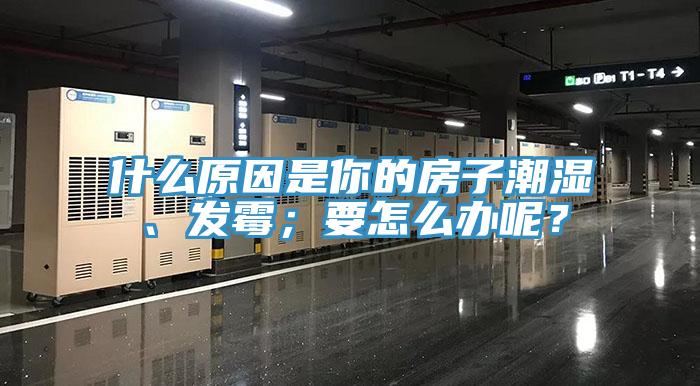 什麽原因是你的房子潮濕、發黴；要怎麽辦呢？