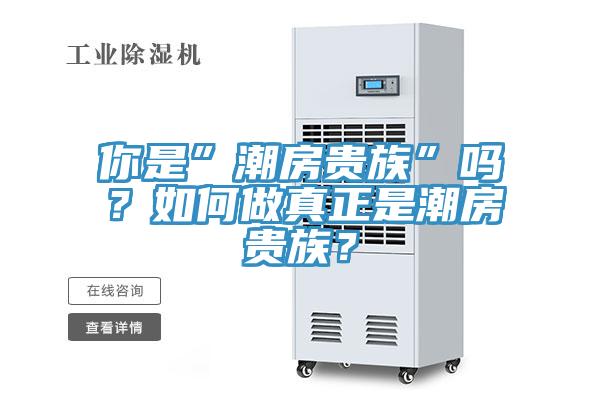 你是”潮房貴族”嗎？如何做真正是潮房貴族？