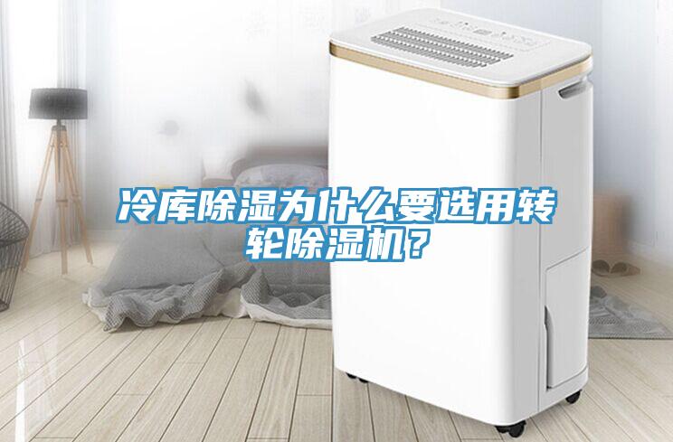冷庫除濕為什麽要選用轉輪杏仁视频APP成人官方污？