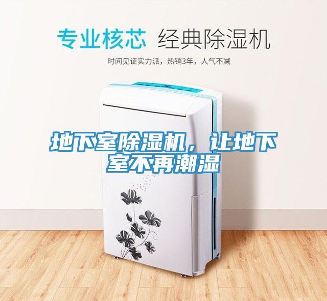 地下室杏仁视频APP成人官方污，讓地下室不再潮濕