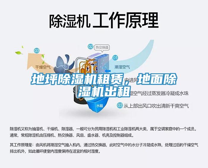 地坪杏仁视频APP成人官方污租賃，地麵杏仁视频APP成人官方污出租
