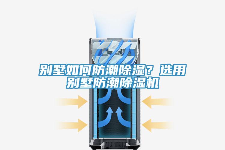 別墅如何防潮除濕？選用別墅防潮杏仁视频APP成人官方污
