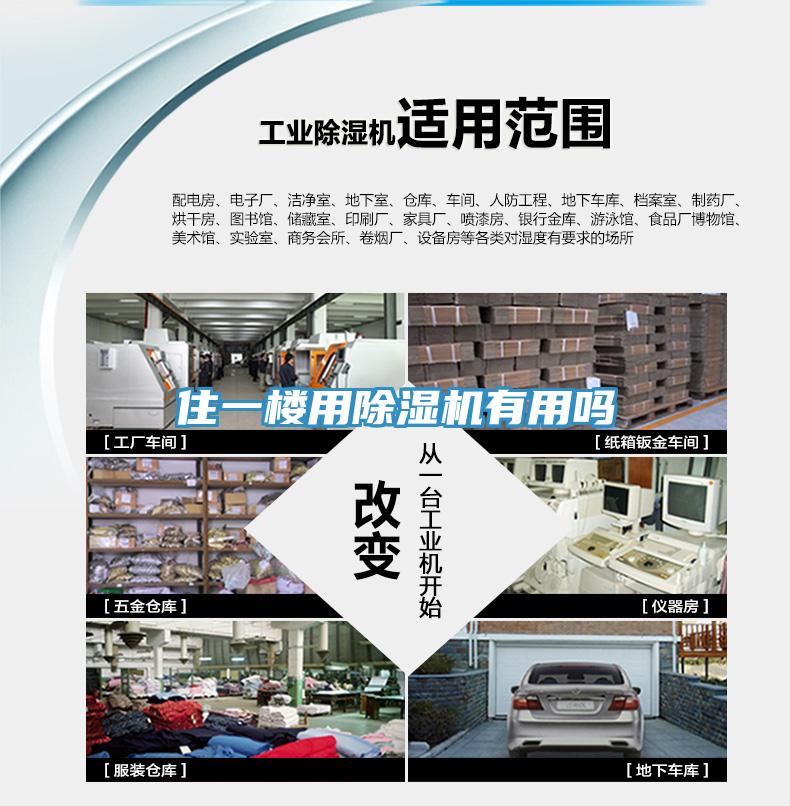 住一樓用杏仁视频APP成人官方污有用嗎