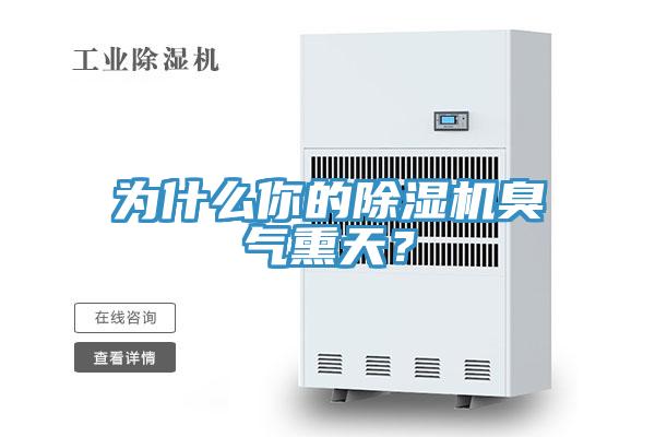 為什麽你的杏仁视频APP成人官方污臭氣熏天？