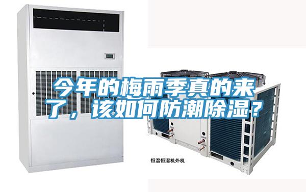 今年的梅雨季真的來了，該如何防潮除濕？