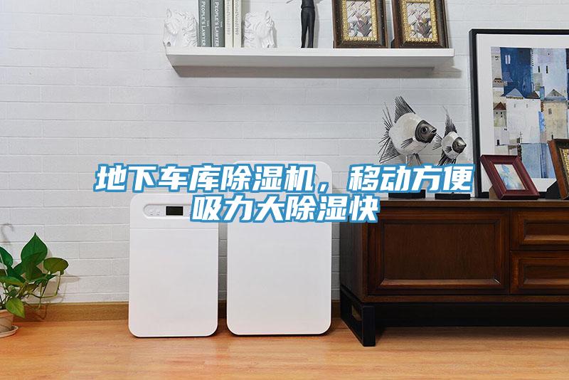 地下車庫杏仁视频APP成人官方污，移動方便吸力大除濕快