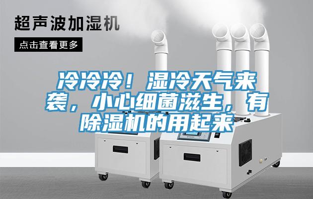 冷冷冷！濕冷天氣來襲，小心細菌滋生，有杏仁视频APP成人官方污的用起來