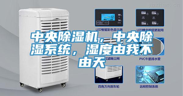 中央杏仁视频APP成人官方污，中央除濕係統，濕度由我不由天