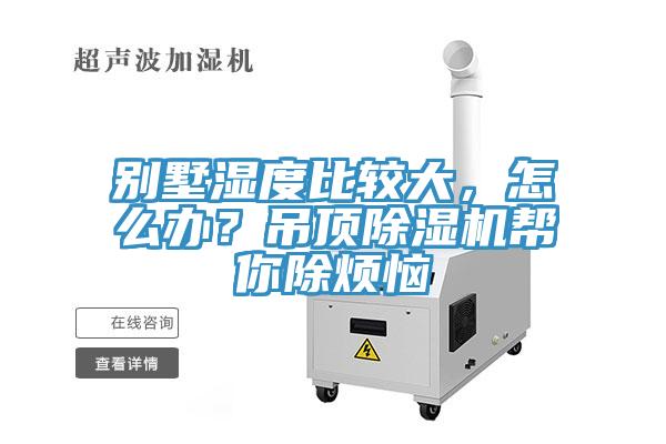 別墅濕度比較大，怎麽辦？吊頂杏仁视频APP成人官方污幫你除煩惱