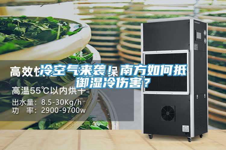冷空氣來襲！南方如何抵禦濕冷傷害？