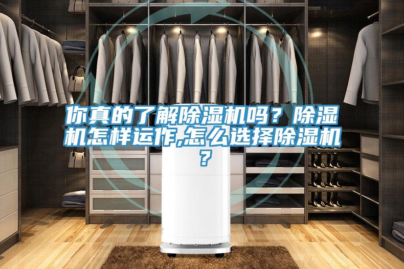 你真的了解杏仁视频APP成人官方污嗎？杏仁视频APP成人官方污怎樣運作,怎麽選擇杏仁视频APP成人官方污？