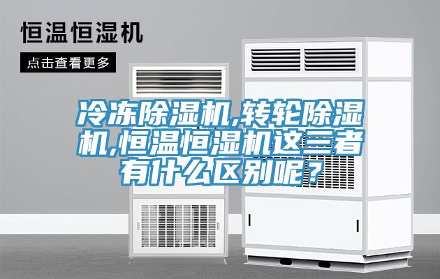冷凍杏仁视频APP成人官方污,轉輪杏仁视频APP成人官方污,恒溫恒濕機這三者有什麽區別呢？