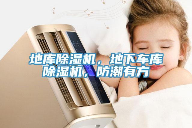 地庫杏仁视频APP成人官方污，地下車庫杏仁视频APP成人官方污，防潮有方