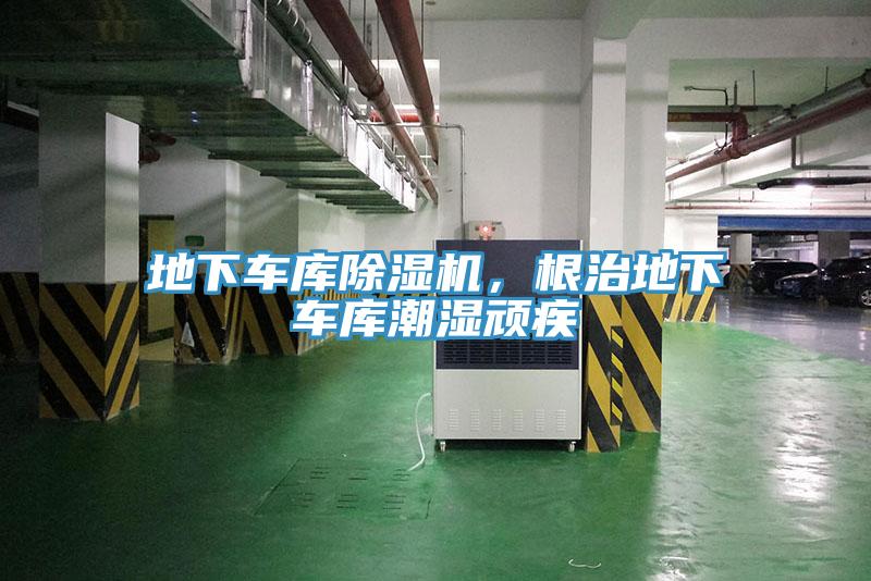 地下車庫杏仁视频APP成人官方污，根治地下車庫潮濕頑疾