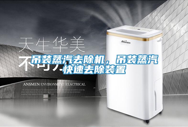吊裝蒸汽去除機，吊裝蒸汽快速去除裝置