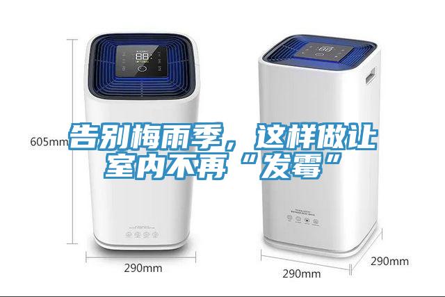告別梅雨季，這樣做讓室內不再“發黴”
