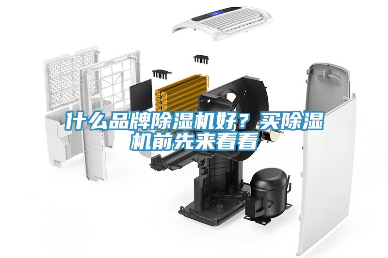 什麽品牌杏仁视频APP成人官方污好？買杏仁视频APP成人官方污前先來看看