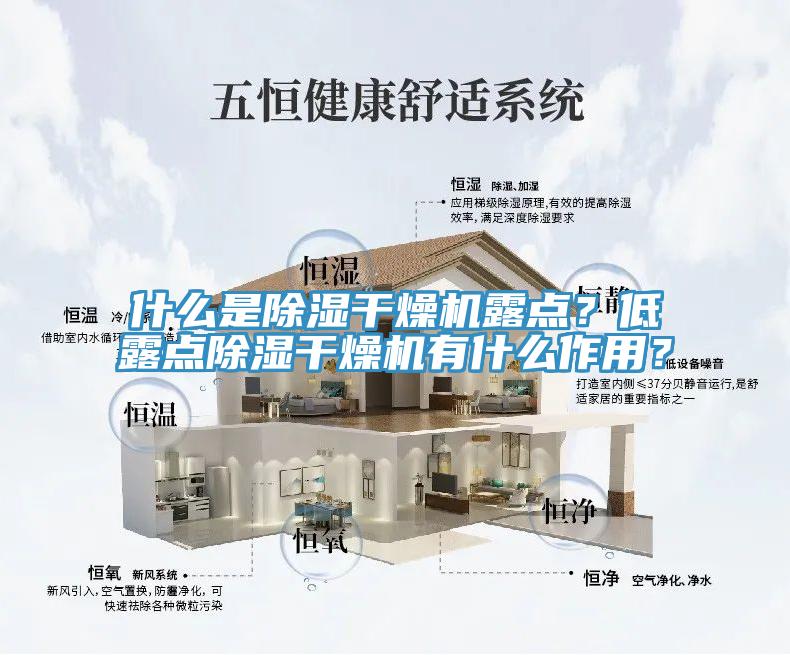 什麽是除濕幹燥機露點？低露點除濕幹燥機有什麽作用？