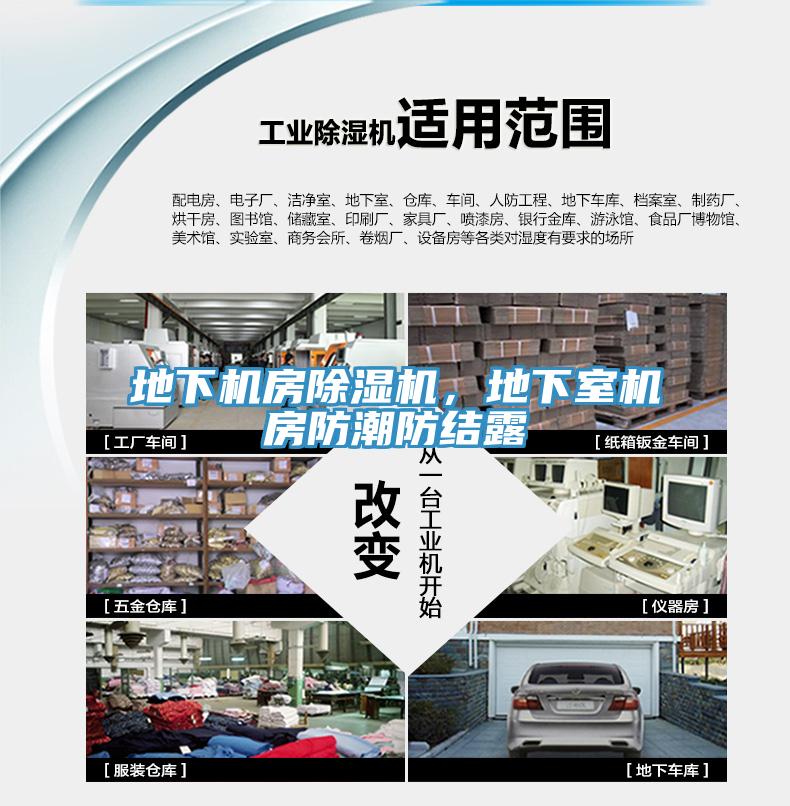 地下機房杏仁视频APP成人官方污，地下室機房防潮防結露