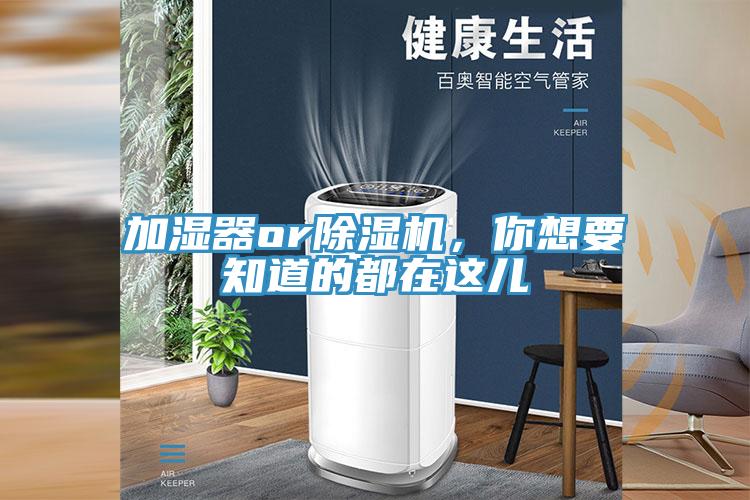 加濕器or杏仁视频APP成人官方污，你想要知道的都在這兒